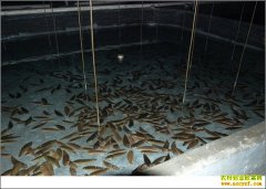 [ÿ��ũ��]��ֳ��Ŀ�����㡱��Ч��