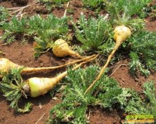 [�۽���ũ]��ĥ�˵��꿧���꿧�۸���۷�����ȵ�