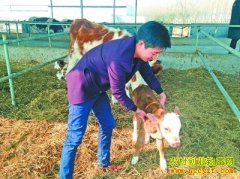 �������Ŵ�ѧ�������ؼ���ţ���������¸�