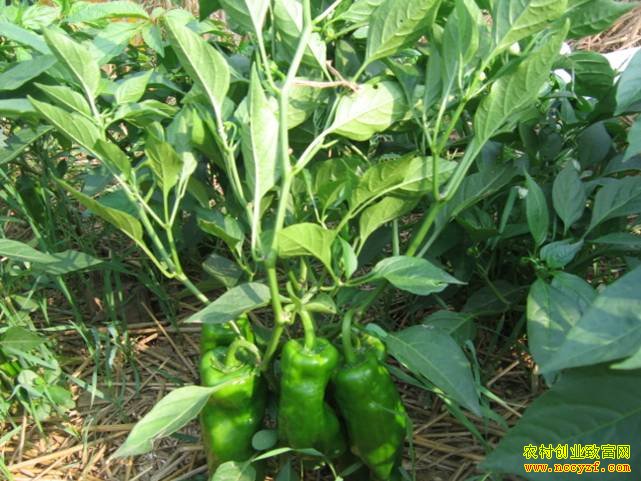 [ũ�����]������ֹ���������仨���