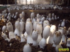 [ũ�����]���ؼ��ȹ����༼����Ƶ