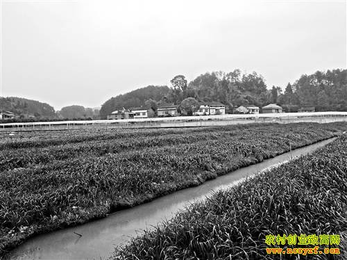 �����ϴ�������ֳ�ڰ��ܴ�ҵ�¸�