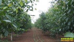 ��������������Ǻ������ֺ�����ũ�¸�