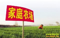 ������Ӫ�͹����ü�ͥũ����