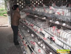 ��Щҩ�����������ã�