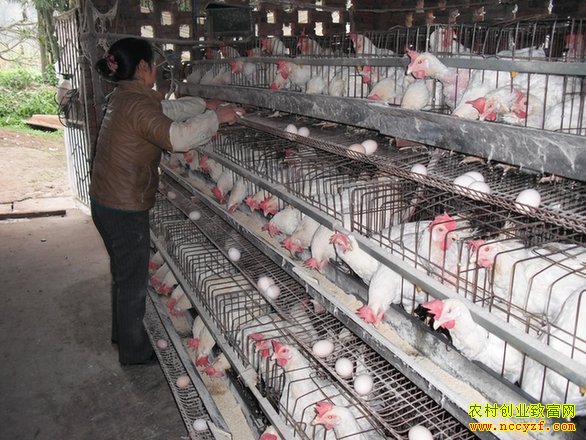 ��Щҩ������������