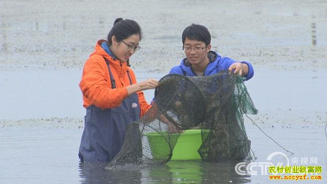 [�¸���]90��С��¬��Կ�ɳ����������������Ԫ