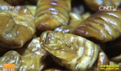 [�Ƽ�Է]Ԭ��ǿ�ò�Ӽ��ֵ�ٱ�