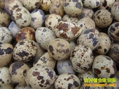 �������ȵ�����Ǯһ�4��7�����ȵ��۸�����