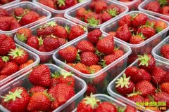 ��ݮ��ô���棺��ݮ�Ĵ��淽��