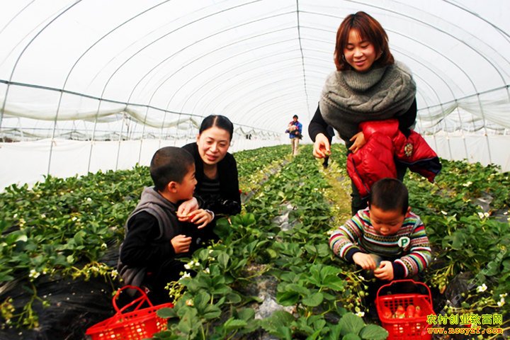 �������ö�����˹�İ׹������ϲ�ݮ��ժ�¸�·