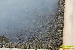 ��������ũ������������ˮ�ο���170��Ԫ