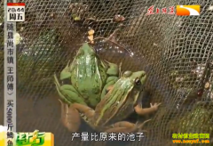 �¸��ð�������������γ�����������25��Ԫ