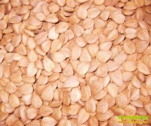 �ӱ�ũ���ͥ�ֹ�ҵũ��Ʒ�ӹ���ũ����