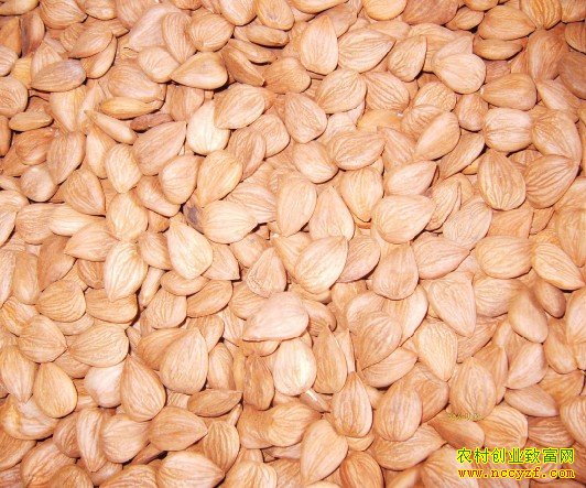 �ӱ�ũ����ͥ�ֹ�ҵũ��Ʒ�ӹ���ũ����