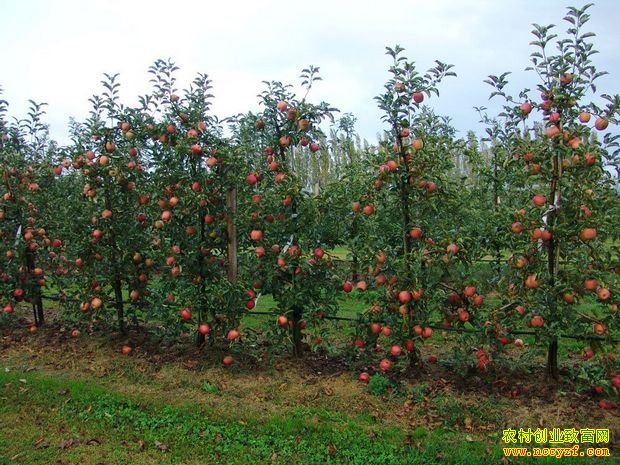 ����»�����ֹ���ҵ��ũ�˾�����635Ԫ