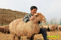 �����ġ��±�ȫ���������¸���