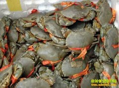 [ũ�����]��Ե��з��ֳ������Ƶ