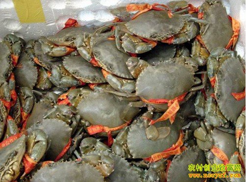 [ũ�����]��Ե��з��ֳ