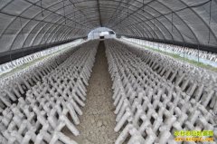 ��������������Ģ����ֲ����ũ���¸�·