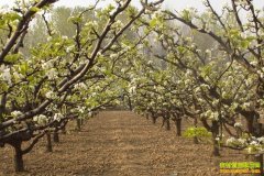 [�Ƽ�Է]����ù��� ����ܹؼ�