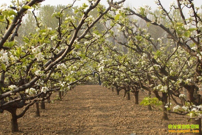 [�Ƽ�Է]����ù��� ����ܹؼ�