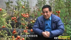 [�¸���]�����Ͻ���С��6500��Ԫ�����֮��