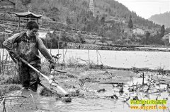 ����ʯ����������ֲ��ź��ũ��ƶ�¸�