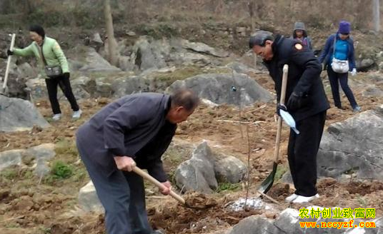 �����Թ���