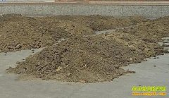 ������Ͽ�����뼦��ӹ��л����ϳ���׬Ǯ�ĺñ���