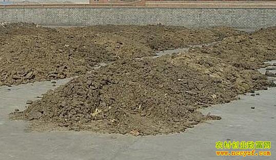 ����ӹ��л����ϳ���׬Ǯ�ĺñ���