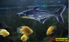 [ũ�����]��������(��â)��ֳ������Ƶ