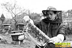 �����뽭����ǿ�۷���ֳ������������ҵ��