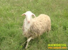 [�Ƽ�Է]���º���������