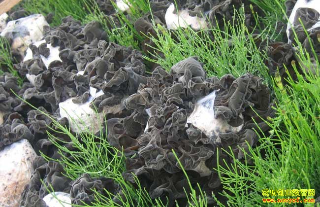 ��������������������ֲ��ľ�������¸�·