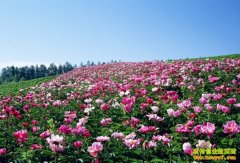 [ÿ��ũ��]�óԺÿ���׬Ǯ�Ĳ軨