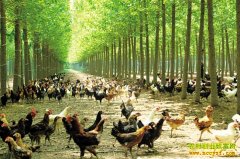 [�Ƽ�Է]�����򽭱�����̫���ò���