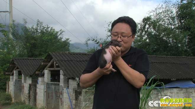 �¸�����ץס�������ĲƸ�