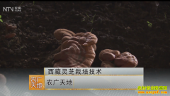 [ũ�����]������֥���༼����Ƶ