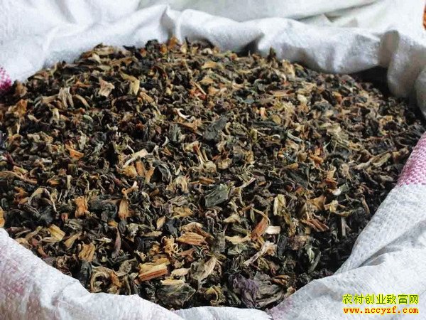 [ÿ��ũ��]����ϵ�÷�ɲ˴���