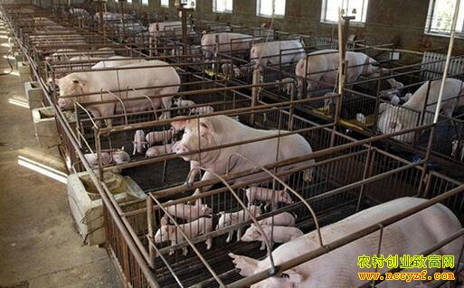 �ִ���С����������׬Ǯ֮��