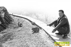 �����뽭����ֹ�԰��Ұ�ú�׬Ǯ