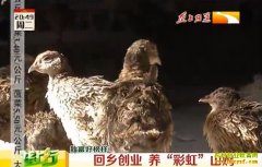 ��ɽ��׬Ǯ�𣺳����ɴ�ҵ���߲�ɽ����׬40��