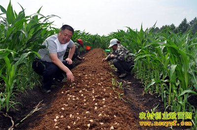 ��������Ģ��  ����Ķ������6200Ԫ