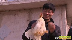 [�¸���]ɽ�������ǹ�ΰ�������⼦��50���¸����