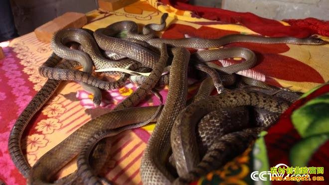 [��ɫʱ��]���߹���ġ������衱���Ӻ�