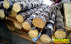 [�۽���ũ]������������ж���