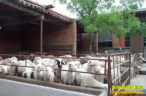 ��������������ѡ׼����·�������¸�