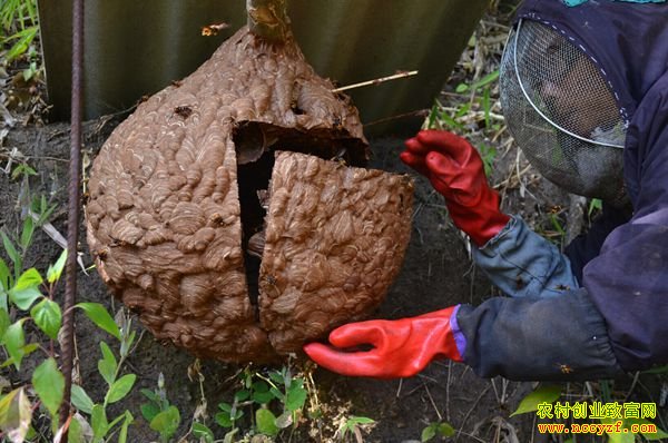 ������׬Ǯ�����ϵº��������ƽ����Խ�����������¸�