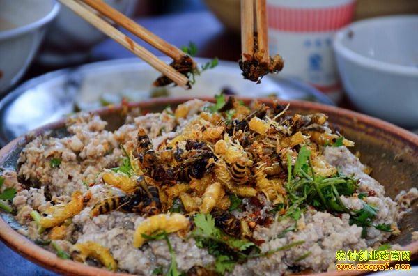 ������׬Ǯ�����ϵº��������ƽ����Խ�����������¸�